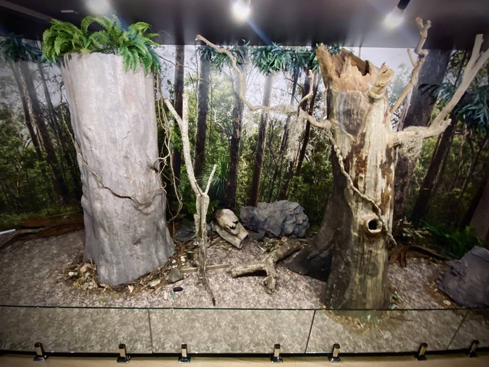 Walkabout Creek 11[1]